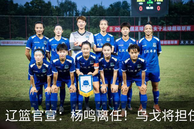 辽篮官宣：杨鸣离任！乌戈将担任辽宁男篮主帅